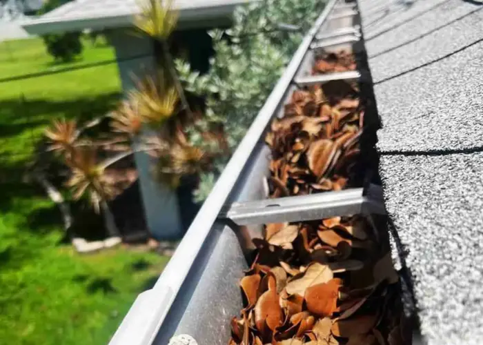 Gutter Cleaning Scott home page